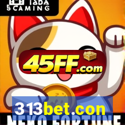 313bet.con