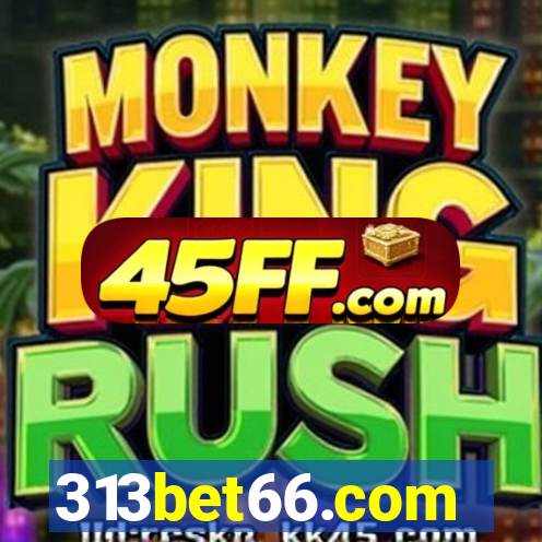 313bet66.com