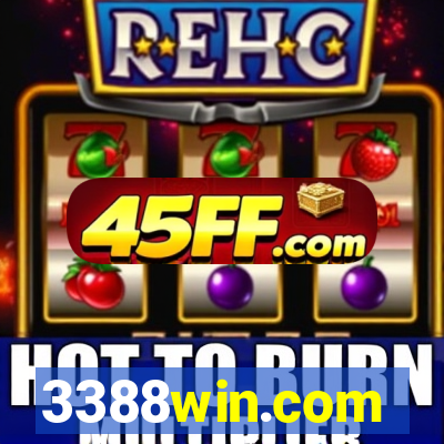 3388win.com