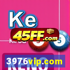 3976vip.com