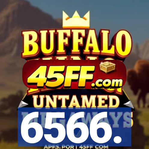 6566.