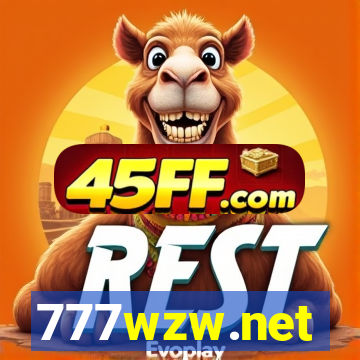 777wzw.net