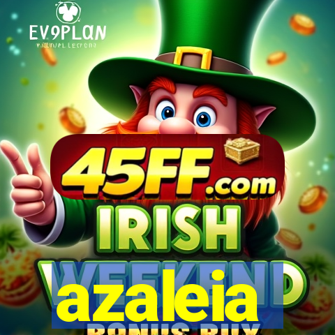 azaleia-br.com