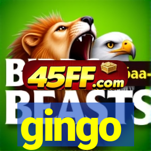 gingo