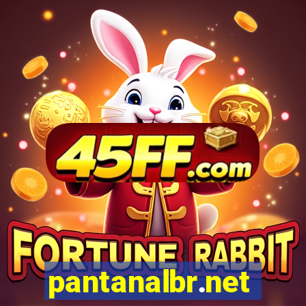 pantanalbr.net