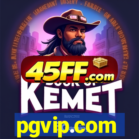 pgvip.com