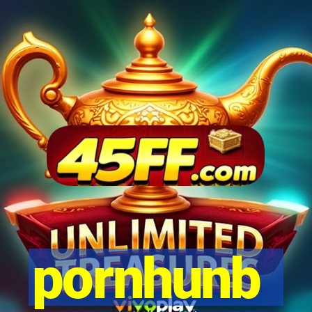 pornhunb