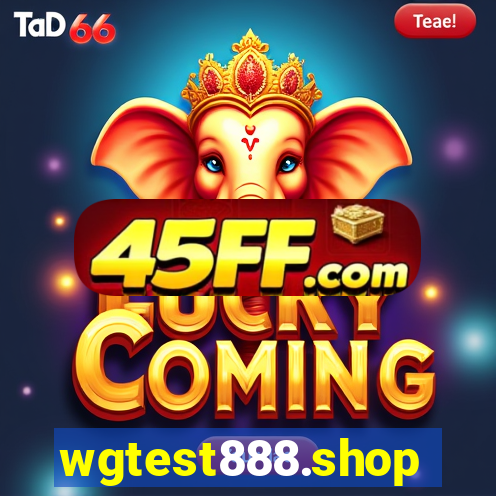 wgtest888.shop