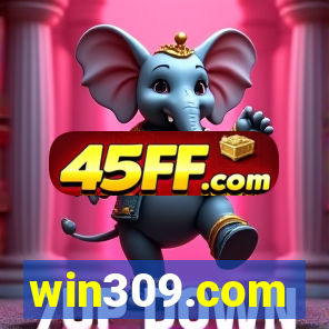 win309.com