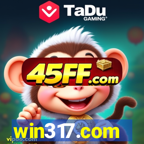 win317.com