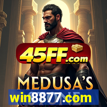 win8877.com