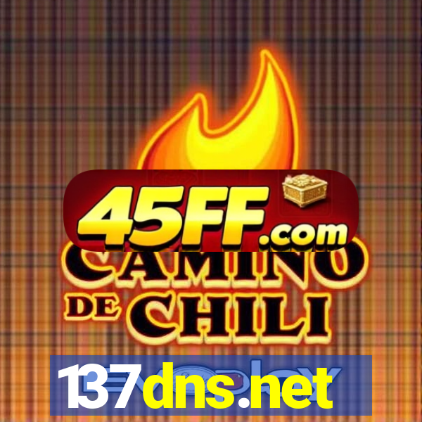 137dns.net