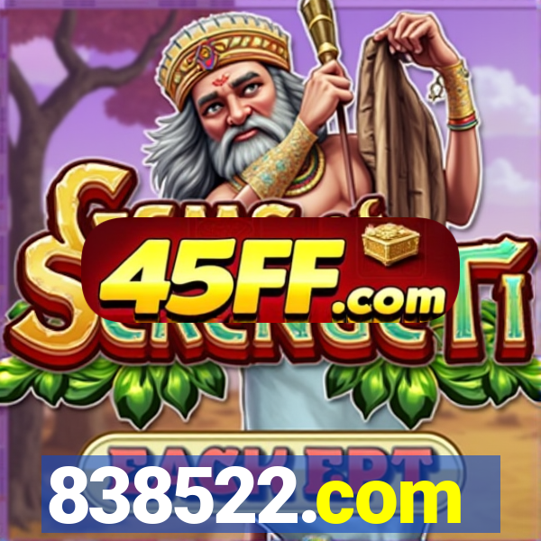 838522.com