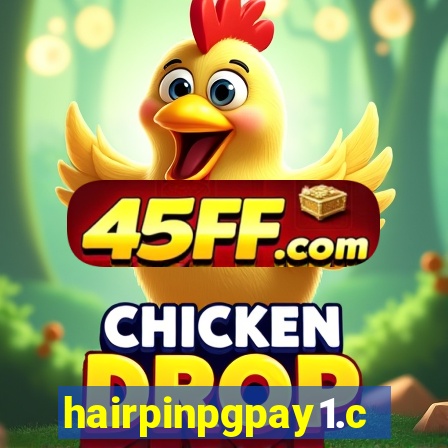 hairpinpgpay1.com