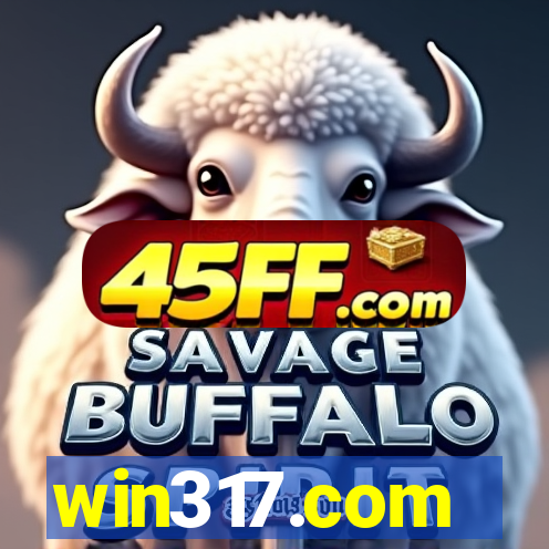 win317.com